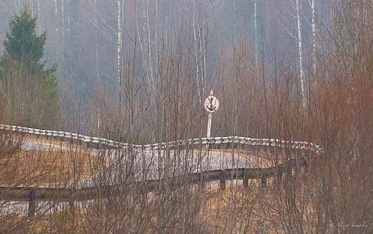 СТОП-ЛЯП | Якорь не бросать 