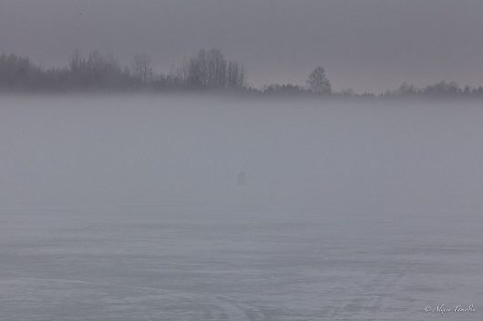 Природа нашего края (ФОТО) | Тихая охота