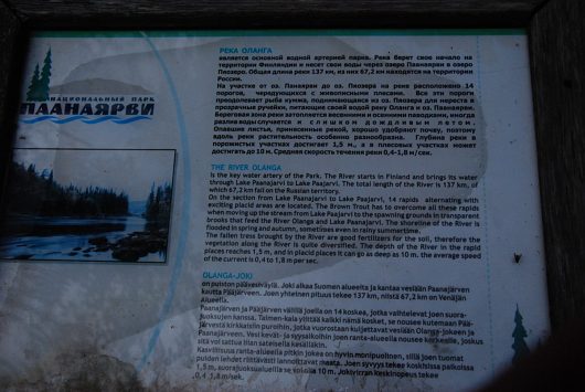 Отдых в Карелии на автомобиле | Парк "Паанаярви" Отзывы | Информация о реке Оланга 