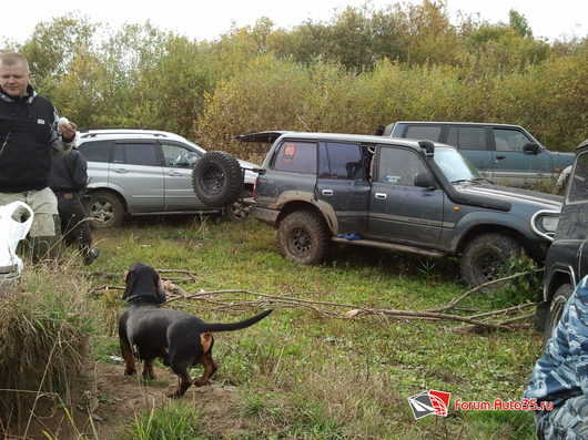 Владельцы SsangYong Kyron | Формула 4x4