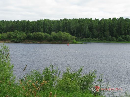 Природа нашего края (ФОТО) | островок...