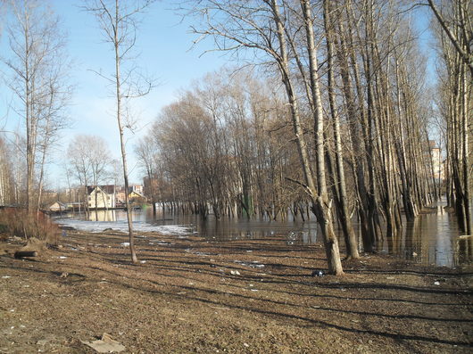 Катаклизмы природы 2013 в Вологодской области | Происшествия ДТП