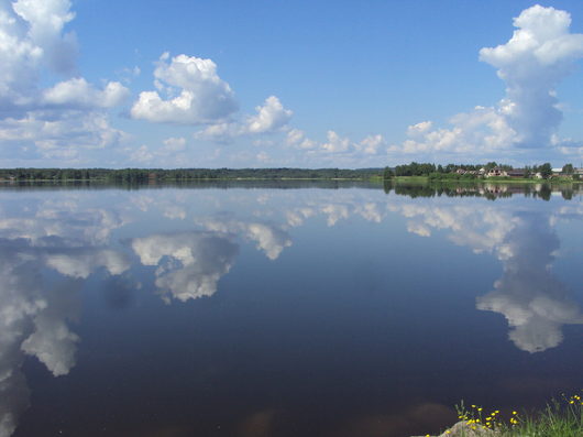 Природа нашего края (ФОТО) | Сиверское озеро 09.06.2013
