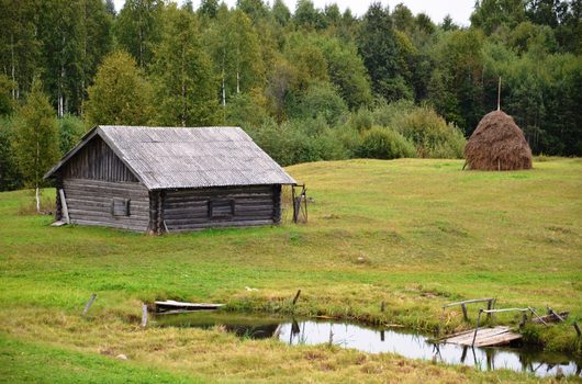 Природа нашего края (ФОТО) | Вашкинский район Кузница .