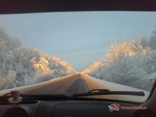 Природа нашего края (ФОТО) | Вологодская область