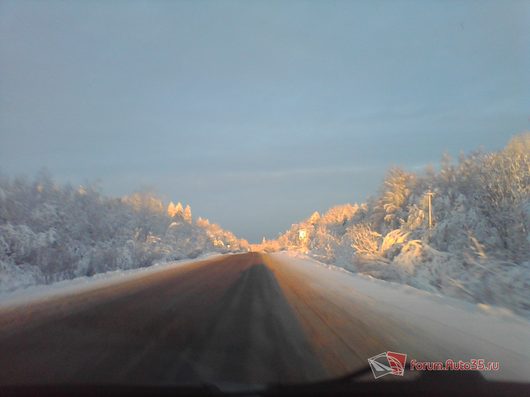 Природа нашего края (ФОТО) | Вологодская область