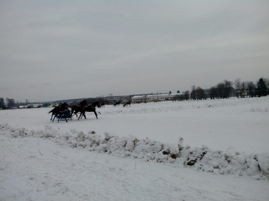 Праздник Коня 22.02.2014г | Автоспорт Вологодская область