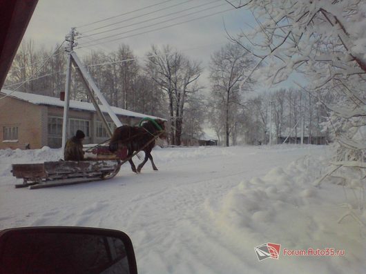 Природа нашего края (ФОТО) | Вологодская область