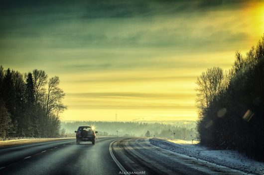 Природа нашего края (ФОТО) | дорога Вологда - Грязовец