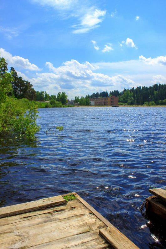 Природа нашего края (ФОТО) | пруд в Красавино