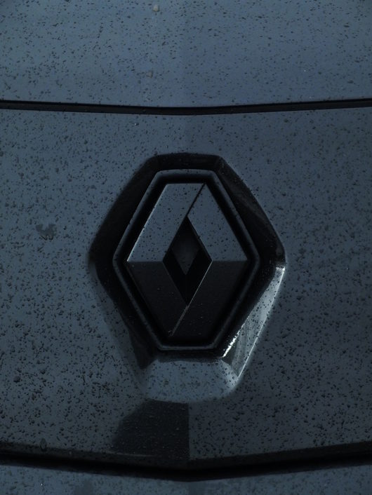 svpam - Renault Kangoo new 1.6л 2010г.в | шильдики в резину