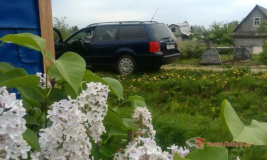 Фото наших автомобилей | опять на даче,фотка не очень...