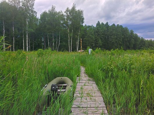 Природа нашего края (ФОТО) | Белавинская пустынь