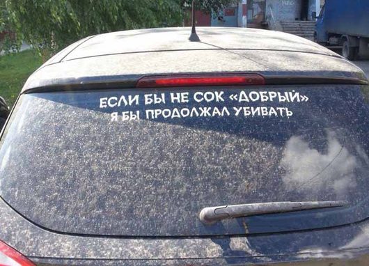 Не смотри на СТОПЫ, а смотри на ... | Фотогалерея