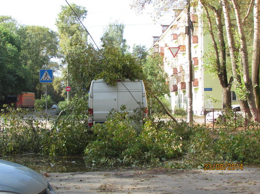 Катаклизмы природы 2014 в Вологодской области | Вид с зади