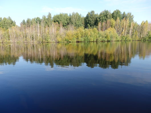 Природа нашего края (ФОТО) | Вологодская область