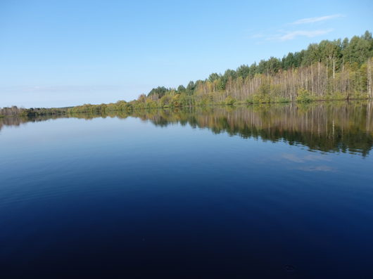 Природа нашего края (ФОТО) | зато некоторые озёра воды не потеряли ваапще оз.воробино