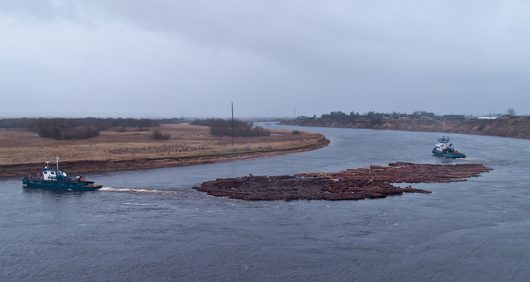 Природа нашего края (ФОТО) | Вологодская область