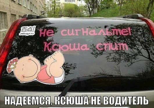 Не смотри на СТОПЫ, а смотри на ... | Фотогалерея