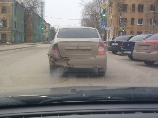 Не смотри на СТОПЫ, а смотри на ... | Фотогалерея