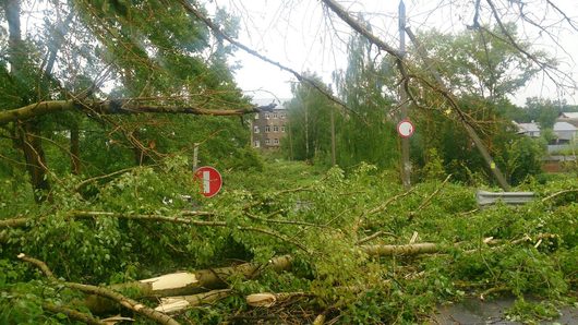 Катаклизмы природы 2015 в Вологодской области | В Молочном