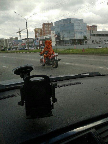 Не смотри на СТОПЫ, а смотри на ... | Фотогалерея