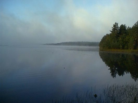 Природа нашего края (ФОТО) | Вологодская область