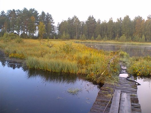 Природа нашего края (ФОТО) | Вологодская область