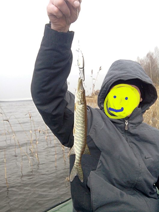Рыбалка | Вологодская область
