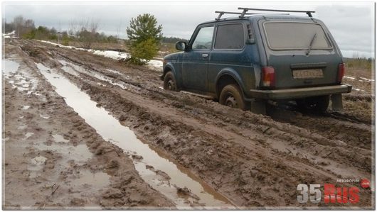 Фото наших автомобилей | вид сзади