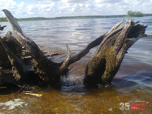 Дорожные зарисовки | Кадуй