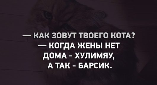 Звери и ... | [то еще мурло... ] biggrin 