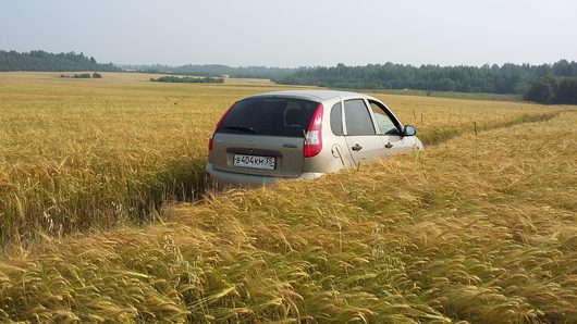 Фото наших автомобилей | По дороге на пасеку😊