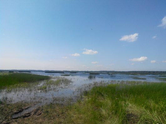 Веломаршруты | Думаю, парни дополнят фотками.