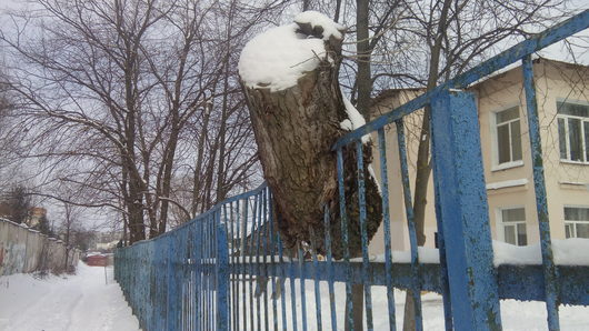 Катаклизмы природы 2017 в Вологодской области | Без мороза нас вырубают