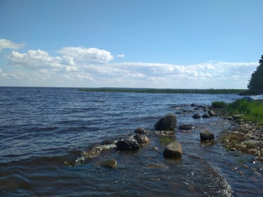 Озеро Воже | Вологодская область