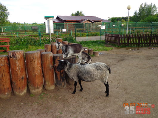 Дорожные зарисовки | Фотогалерея