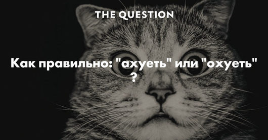 Чемпионат Мира по футболу 2018. Россия | Я очень сильно извиняюсь, но после игры Японии с Германией и Бельгией имею вопрос 