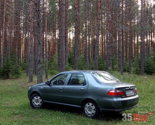 Фото наших автомобилей | Chesnokov_2115 фото Фиата в лесу