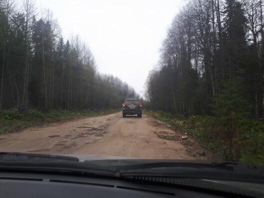 А-215 Санкт-Петербург - Архангельск | Дороги Вологодской области