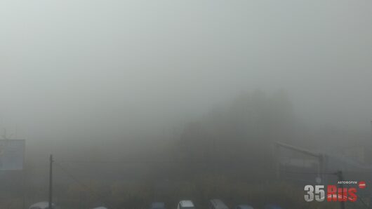 Природа нашего края (ФОТО) | утренний туман