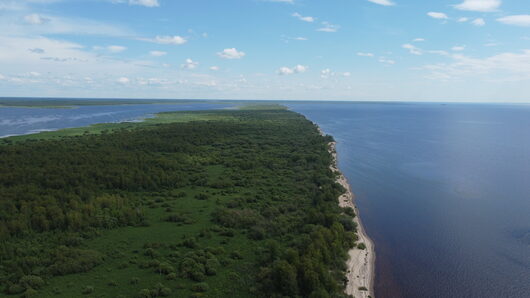 Природа нашего края (ФОТО) | Справа Кубенское озеро, слева Токшинское Июль 2023.